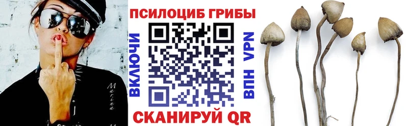 Галлюциногенные грибы мицелий  цены   Наволоки 